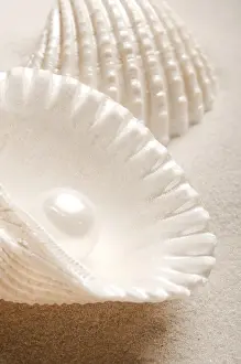 A smooth pearl inside an open seashell resting on beige sand