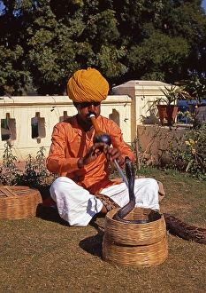 Snake charmer in Jaipur, India, Asia