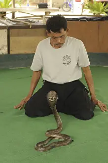 Snake tamer with cobra (Naja kaouthia)