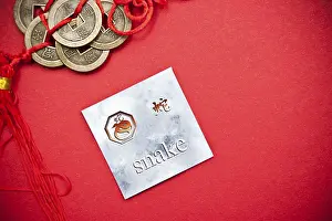 Snake zodiac card with Chinese character on a red background with coins