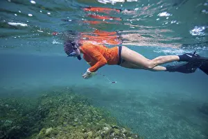 A snorkeler exploring a coral reef under clear blue water