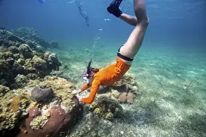 A snorkeler exploring a coral reef under clear blue water