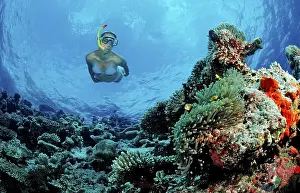 Snorkelling on a coral reef, Maldives