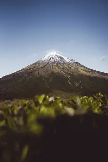A snow-capped mountain is framed by green foliage and stands under a clear blue sky