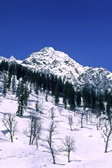 Snow capped mountains