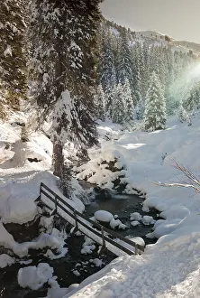 Snow-covered forest and a bridge, Austria, Europe
