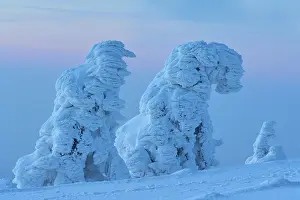 Snow-covered ice formations glow in the blue light of a cold winter evening