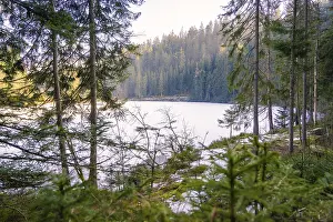 Snow-covered lake with surrounding coniferous forests and a tranquil lakeside panorama
