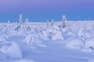 Snow-covered landscape at dusk
