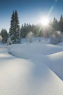 Snow-covered landscape on Schauinsland mountain