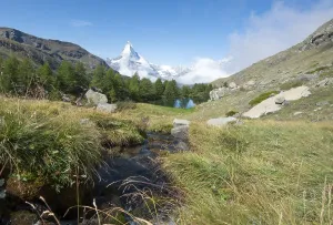 Snow-covered Matterhorn, mountain stream flows into Lake Grindij