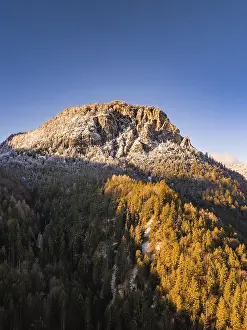 Snow-covered mountain peak above an autumnal forest