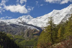 Snow covered mountains with yellow autumn trees and clear blue sky in the background