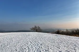 Snow-covered peak, solitary oaks on the horizon