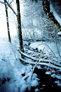 Snow-covered stream, Berchtesgaden