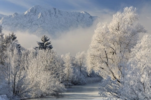 Snow-covered trees in front of mountains