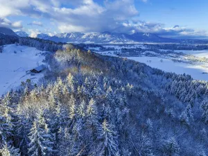 Snow-covered trees in front of mountains