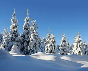 Snow-covered untouched winter landscape