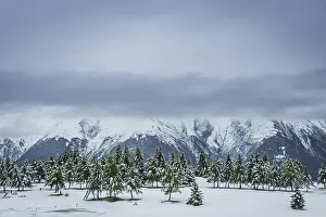 Category Mountain Landscapes Prints: Snow-covered winter landscape in the Aletsch region