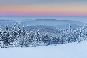 Snow Covered Winter Landscape at Dawn