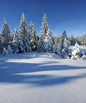 Snow-covered winter landscape, Harz National Park
