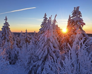 Snow-covered winter landscape at sunrise