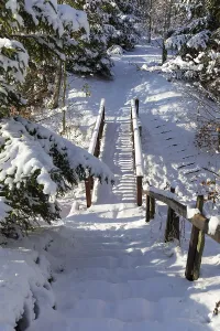 Snow-covered wooden bridge in a winter forest