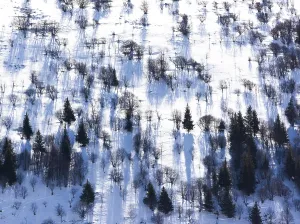 Snow covers the ground in Cantal