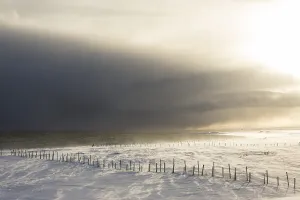 Category Scandinavia Prints: Snow drifts in the fjord, near Kiberg
