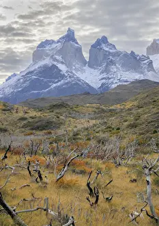 Snow-dusted mountains rise above a rugged