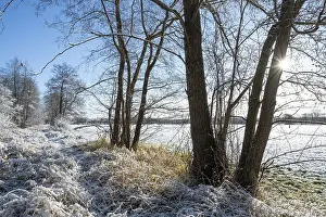 Snow, forest edge in winter, Barnbruch nature reserve