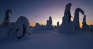 Snow landscape, Kuntivaara, Finland, Europe