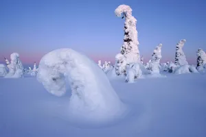 Snow landscape, Kuntivaara, Finland, Europe