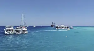 The snow-white yachts arrived as part of the Egyptian Maldives excursion tour