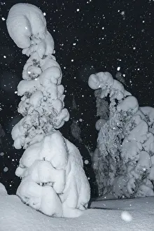 Snowfall in a snow-covered landscape