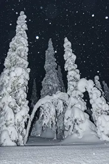 Snowfall in a snow-covered landscape