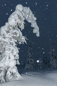 Snowfall in a snow-covered landscape