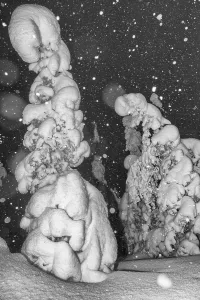 Snowfall in a snow-covered landscape