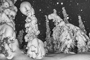 Snowfall in a snow-covered landscape