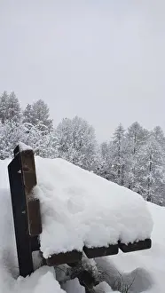 Snowy bench in a quiet forest in winter