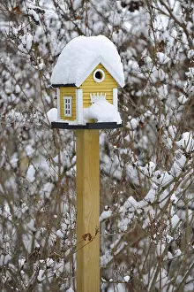 Snowy birdhouse