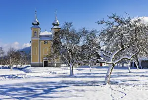 Snowy fruit trees with St. Lawrence Church in Sankt Lorenz bei Mondsee