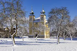 Snowy fruit trees with St. Lawrence Church in Sankt Lorenz bei Mondsee