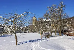 Snowy fruit trees with St. Michael Basilica