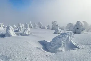 Snowy landscape with icy trees under a foggy sky