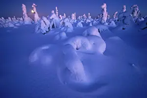 Snowy landscape with full moon