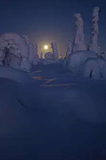 Snowy landscape with full moon