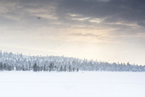 Snowy landscape, near Inari, Finland, Europe