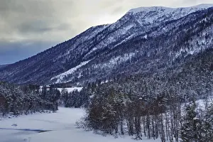 Snowy mountain with dense forests under a cloudy sky