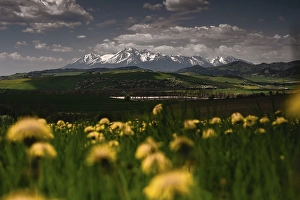 Snowy mountain peaks, trees road